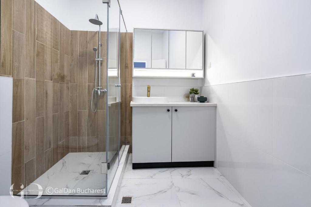 The Loft Luxury Apartments-Near The Park In The City Center ブカレスト エクステリア 写真