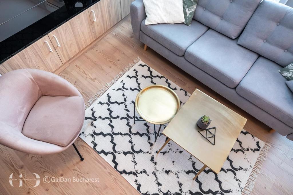 The Loft Luxury Apartments-Near The Park In The City Center ブカレスト エクステリア 写真